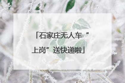 石家庄无人车“上岗”送快递啦