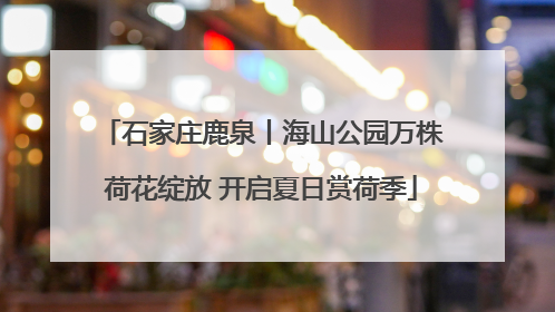石家庄鹿泉丨海山公园万株荷花绽放 开启夏日赏荷季