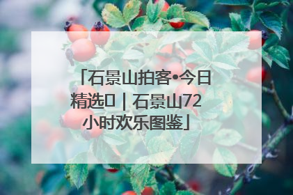 石景山拍客•今日精选⑲｜石景山72小时欢乐图鉴
