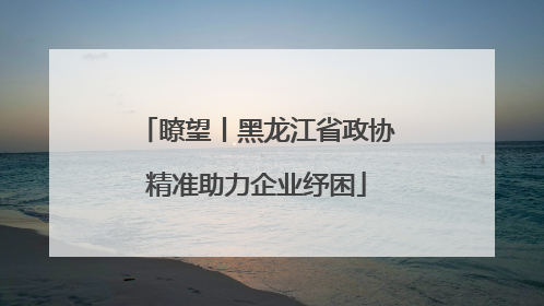瞭望丨黑龙江省政协精准助力企业纾困