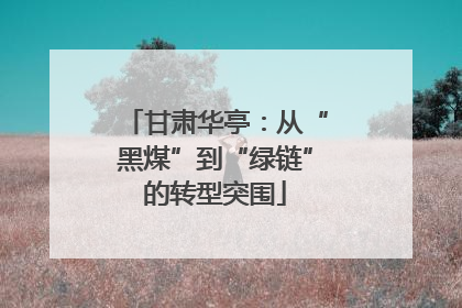 甘肃华亭：从“黑煤”到“绿链”的转型突围
