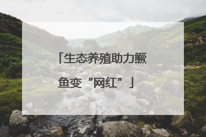 生态养殖助力鳜鱼变“网红”