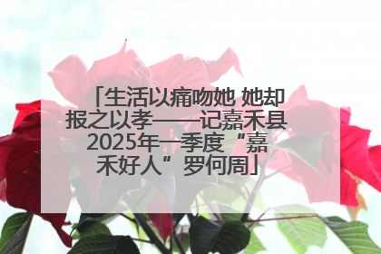 生活以痛吻她 她却报之以孝——记嘉禾县2025年一季度“嘉禾好人”罗何周