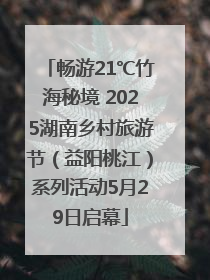 畅游21℃竹海秘境 2025湖南乡村旅游节（益阳桃江）系列活动5月29日启幕