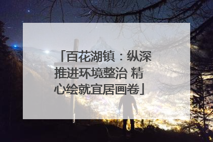 百花湖镇：纵深推进环境整治 精心绘就宜居画卷