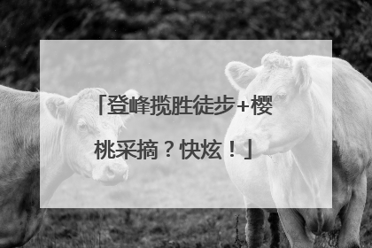 登峰揽胜徒步+樱桃采摘？快炫！