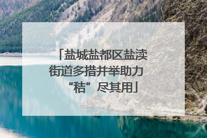 盐城盐都区盐渎街道多措并举助力“秸”尽其用