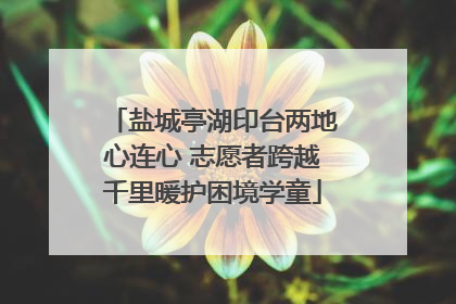 盐城亭湖印台两地心连心 志愿者跨越千里暖护困境学童
