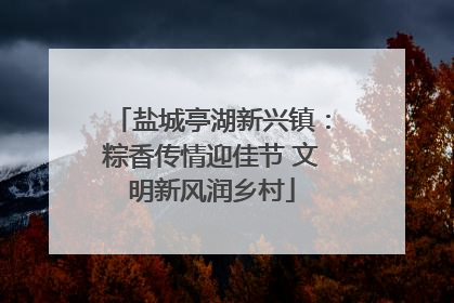 盐城亭湖新兴镇：粽香传情迎佳节 文明新风润乡村