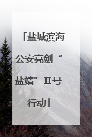 盐城滨海公安亮剑“盐靖”Ⅱ号行动