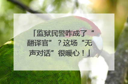监狱民警咋成了“翻译官”？这场“无声对话”很暖心！