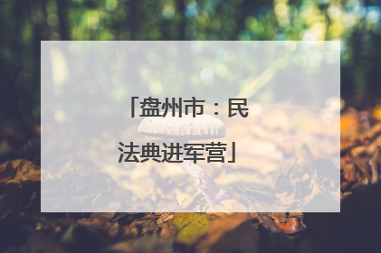 盘州市：民法典进军营