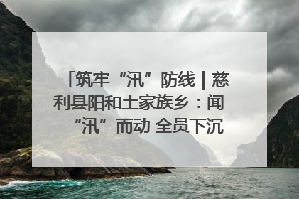 筑牢“汛”防线｜慈利县阳和土家族乡：闻“汛”而动 全员下沉筑牢防汛“安全堤”