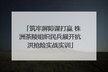筑牢屏障谋打赢 株洲茶陵组织民兵展开抗洪抢险实战实训