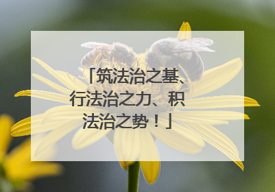 筑法治之基、行法治之力、积法治之势！