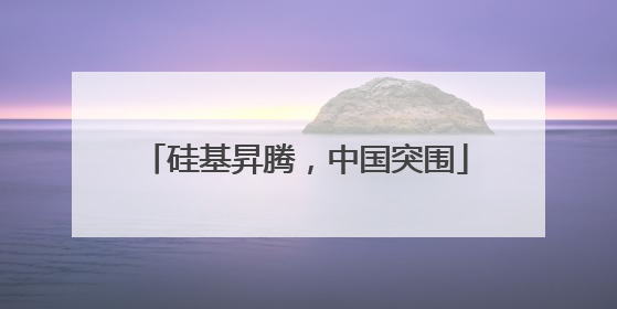 硅基昇腾，中国突围