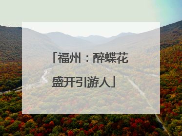 福州：醉蝶花盛开引游人