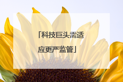 科技巨头需适应更严监管