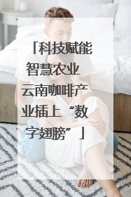 科技赋能智慧农业 云南咖啡产业插上“数字翅膀”