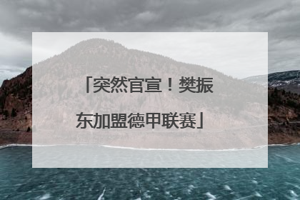 突然官宣！樊振东加盟德甲联赛