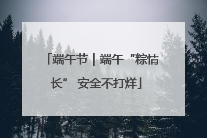 端午节｜端午“粽情长” 安全不打烊