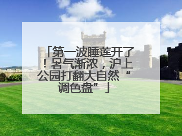 第一波睡莲开了！暑气渐浓，沪上公园打翻大自然“调色盘”