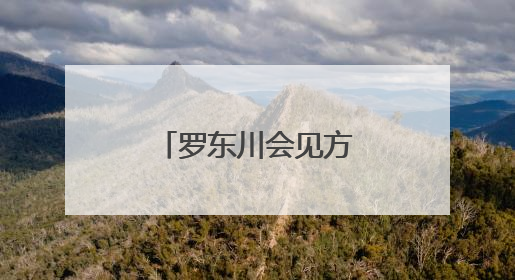 罗东川会见方大集团董事局主席方威一行