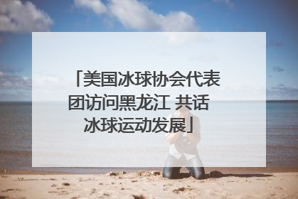 美国冰球协会代表团访问黑龙江 共话冰球运动发展