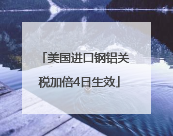 美国进口钢铝关税加倍4日生效