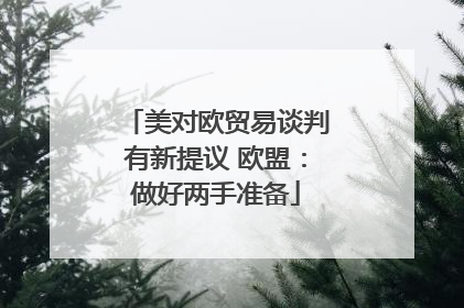 美对欧贸易谈判有新提议 欧盟：做好两手准备
