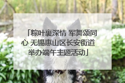 粽叶裹深情 军舞颂同心 无锡惠山区长安街道举办端午主题活动