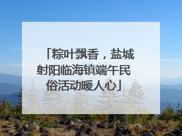 粽叶飘香，盐城射阳临海镇端午民俗活动暖人心