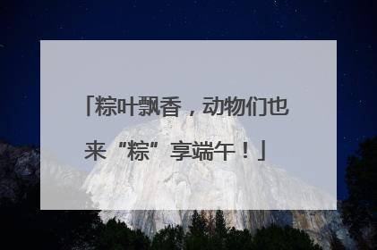 粽叶飘香，动物们也来“粽”享端午！