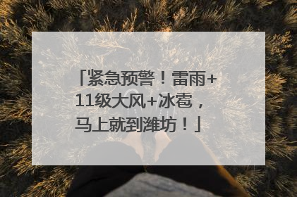 紧急预警！雷雨+11级大风+冰雹，马上就到潍坊！