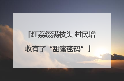 红荔缀满枝头 村民增收有了“甜蜜密码”