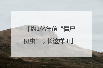 约1亿年前“僵尸昆虫”，长这样！