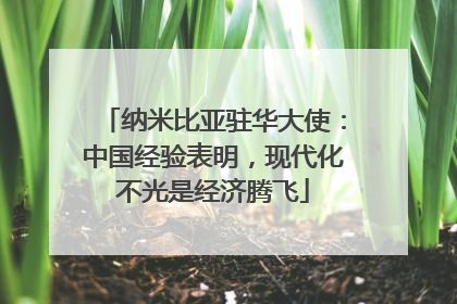 纳米比亚驻华大使：中国经验表明，现代化不光是经济腾飞