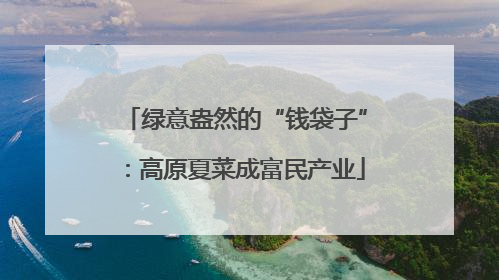 绿意盎然的“钱袋子”：高原夏菜成富民产业