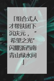 组合式人才帮扶团下沉庆元，“希望之光”闪耀浙西南青山绿水间
