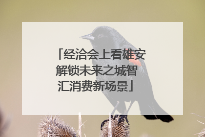 经洽会上看雄安 解锁未来之城智汇消费新场景