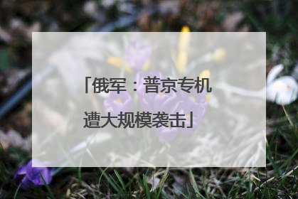 俄军：普京专机遭大规模袭击