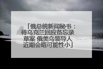 俄总统新闻秘书：待乌克兰回应备忘录草案 俄美乌领导人近期会晤可能性小