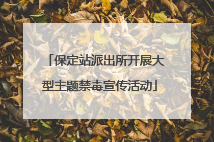 保定站派出所开展大型主题禁毒宣传活动