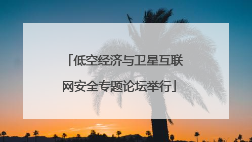 低空经济与卫星互联网安全专题论坛举行