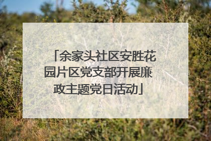 余家头社区安胜花园片区党支部开展廉政主题党日活动