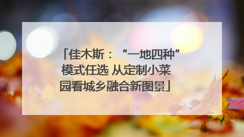 佳木斯：“一地四种” 模式任选 从定制小菜园看城乡融合新图景