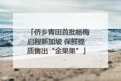 侨乡青田首批杨梅启程新加坡 保鲜提质售出“金果果”