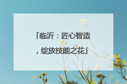 临沂：匠心智造，绽放技能之花