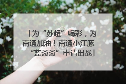 为“苏超”喝彩，为南通加油！南通小江豚“蓝叒叒”申请出战