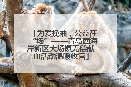 为爱挽袖，公益在“场”——青岛西海岸新区大场镇无偿献血活动温暖收官
